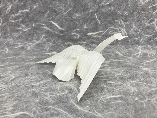 ��ֽ��ƷͼƬ