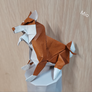 Mio.png